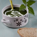 veloute-ortie-1