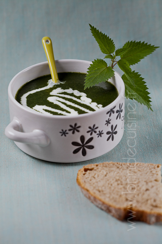 veloute-ortie-1