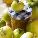 brindecuisine-ketchup-vert